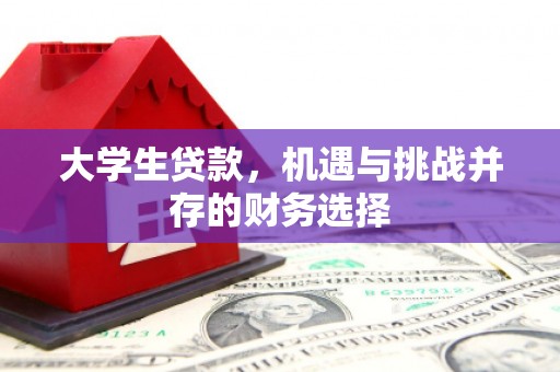 灵川大学生贷款，机遇与挑战并存的财务选择