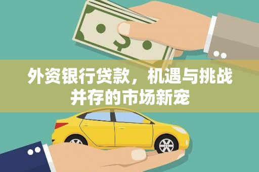 灵川外资银行贷款，机遇与挑战并存的市场新宠