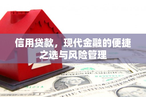 灵川信用贷款，现代金融的便捷之选与风险管理