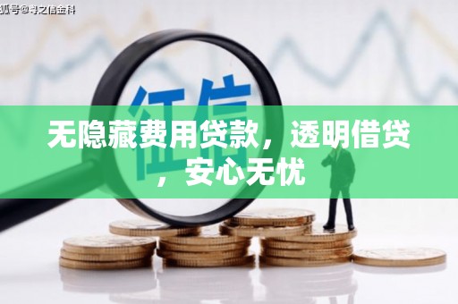 灵川无隐藏费用贷款，透明借贷，安心无忧
