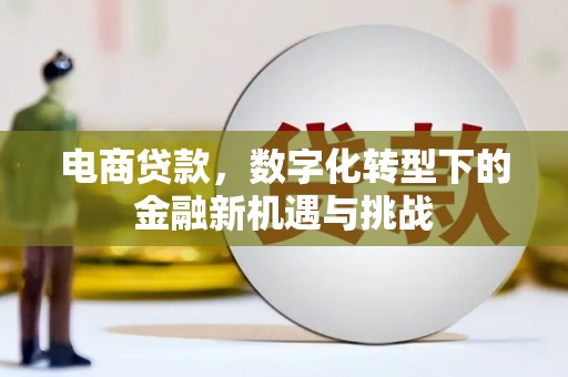 灵川电商贷款，数字化转型下的金融新机遇与挑战