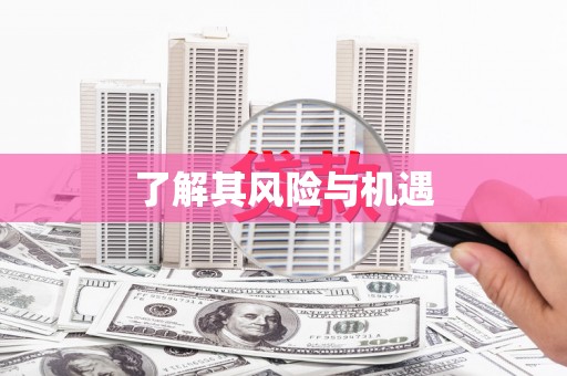 灵川了解其风险与机遇