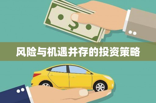 灵川风险与机遇并存的投资策略