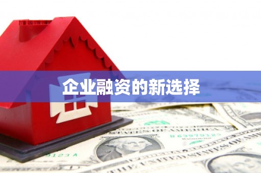 灵川企业融资的新选择