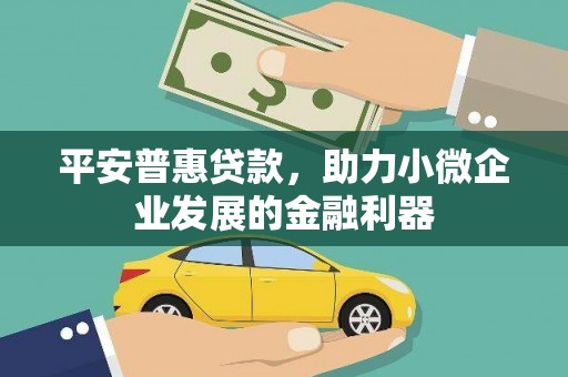 灵川平安普惠贷款，助力小微企业发展的金融利器