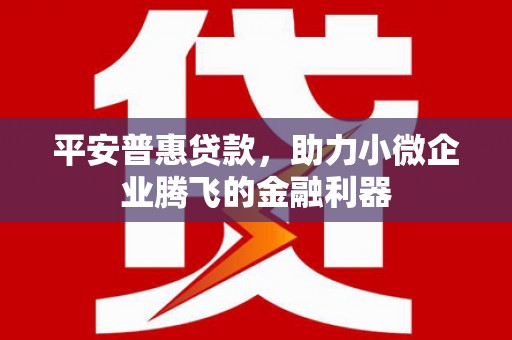 灵川平安普惠贷款，助力小微企业腾飞的金融利器