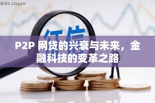 灵川P2P 网贷的兴衰与未来，金融科技的变革之路