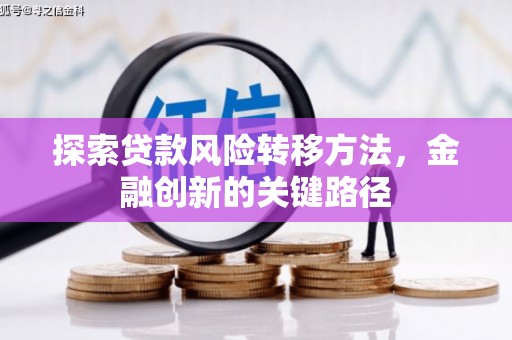 灵川探索贷款风险转移方法，金融创新的关键路径