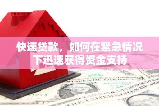 灵川快速贷款，如何在紧急情况下迅速获得资金支持