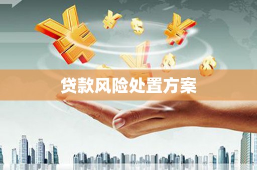 灵川贷款风险处置方案