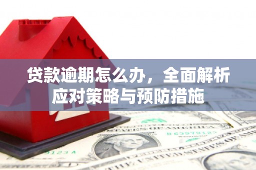 灵川贷款逾期怎么办，全面解析应对策略与预防措施