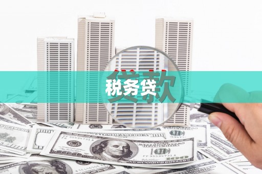 灵川税务贷