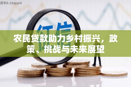 灵川农民贷款助力乡村振兴，政策、挑战与未来展望
