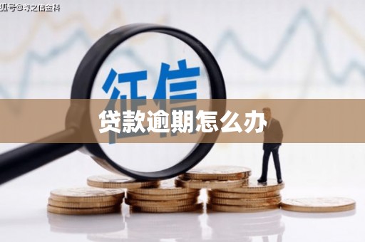 灵川贷款逾期怎么办