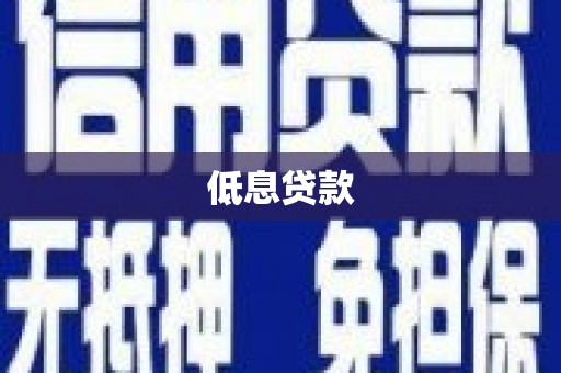 灵川低息贷款
