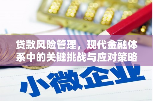 灵川贷款风险管理，现代金融体系中的关键挑战与应对策略