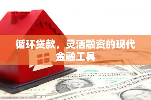 灵川循环贷款，灵活融资的现代金融工具