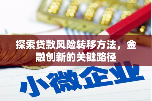 灵川探索贷款风险转移方法，金融创新的关键路径