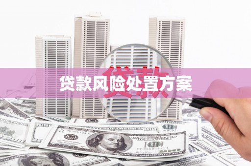 灵川贷款风险处置方案
