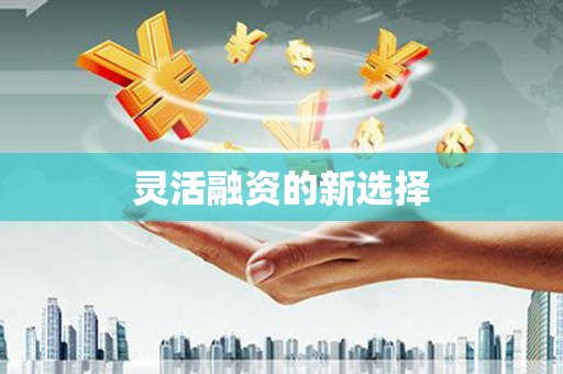 灵川灵活融资的新选择