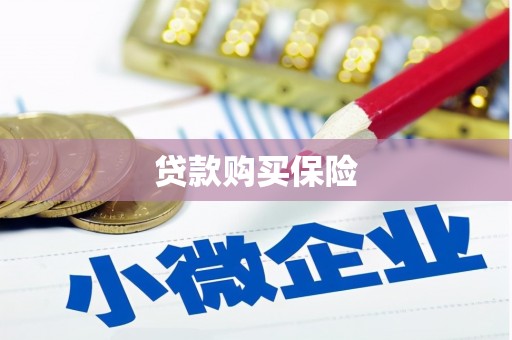 灵川贷款购买保险