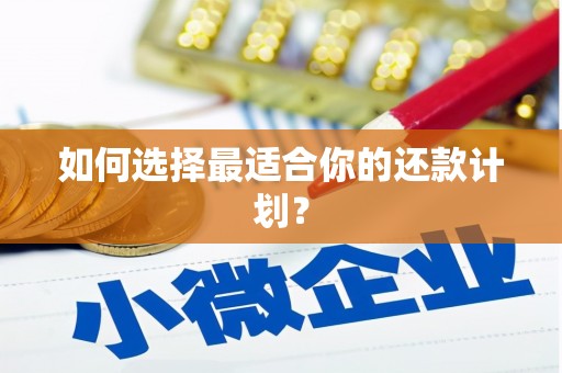 灵川如何选择最适合你的还款计划？