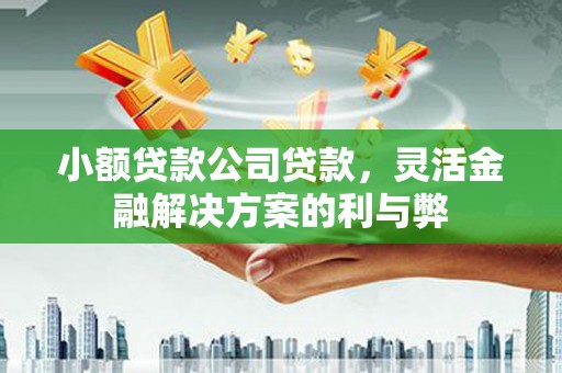 灵川小额贷款公司贷款，灵活金融解决方案的利与弊